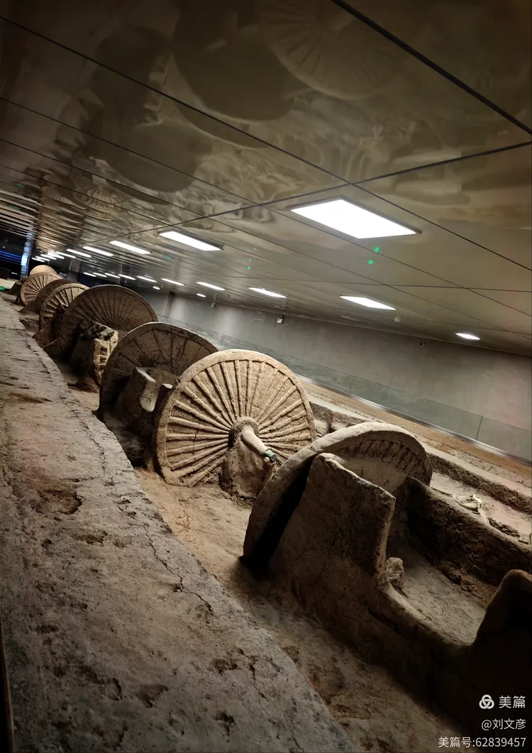 山东 淄博,古车博物馆,春秋殉车马坑遗址,2600年前,中国十大考古发现